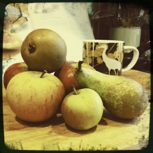 Apples & pears